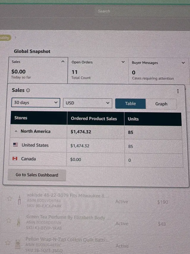 Student Amazon sales screenshot